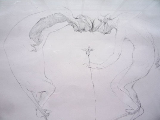 Julia Morcov